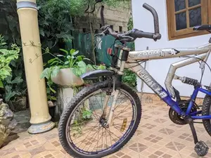 Lumala Bicycle