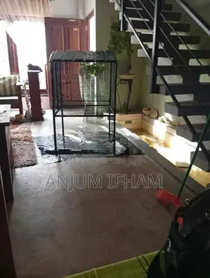 Used Bird Cage