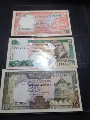 Old Notes