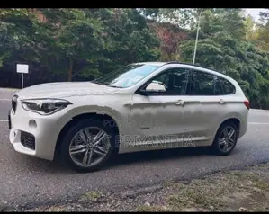 BMW X1 2017