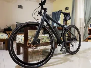 Cannondale BadBoy Bike