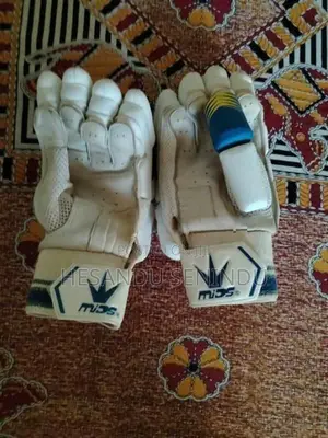 Cricket Pad with Gloves