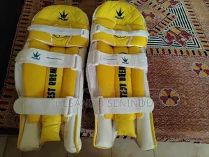 Cricket Pad with Gloves