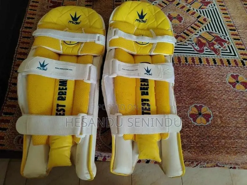 Cricket Pad with Gloves