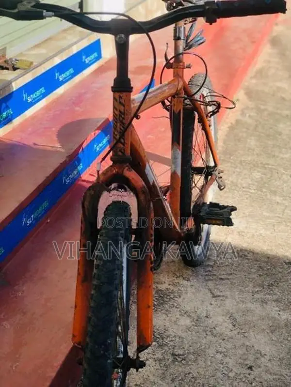 Lumala Bicycle