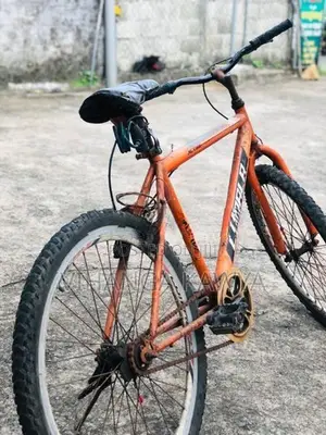 Lumala Bicycle