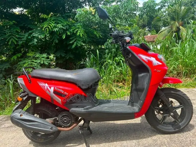 Dyno Scooby 125 2024