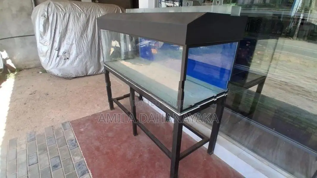 5 Feet Fish Tank