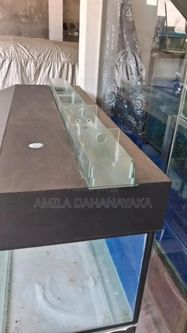 5 Feet Fish Tank