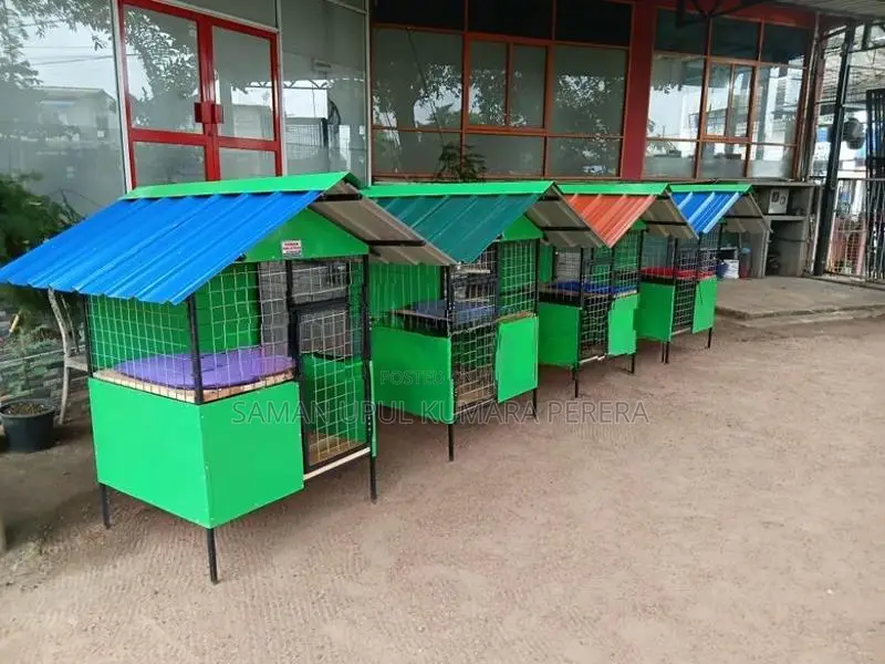 Dog Cages