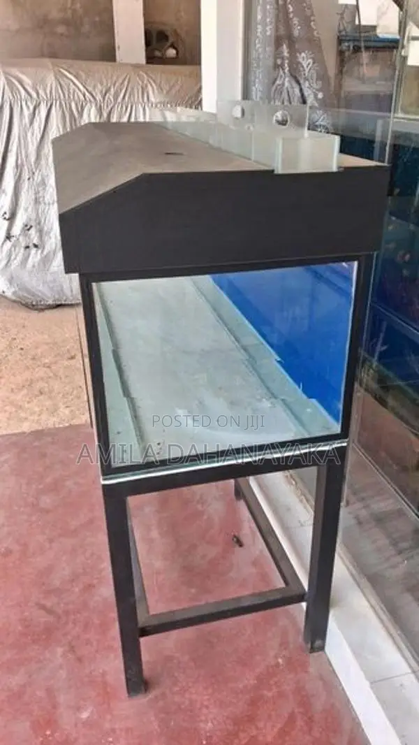 5 Feet Fish Tank