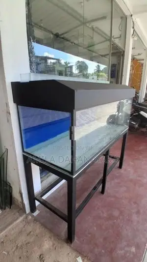 5 Feet Fish Tank