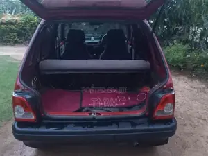Maruti Suzuki 800 1995