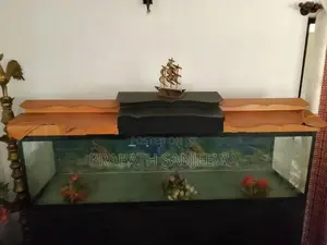 Fish Tank