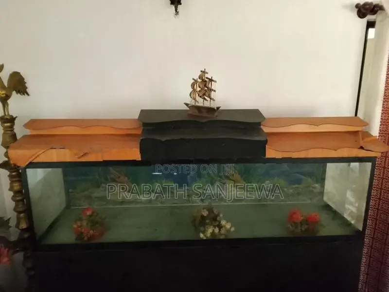 Fish Tank