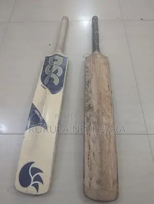 Cricket Leather Bat