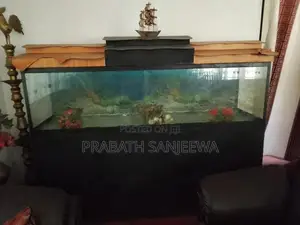Fish Tank