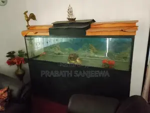 Fish Tank