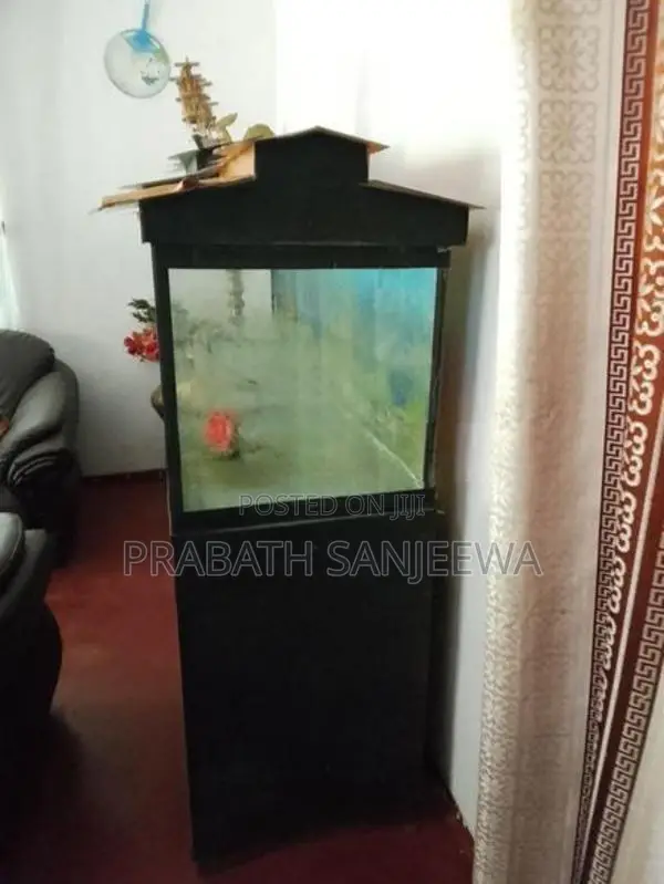 Fish Tank
