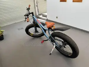 Fat Bicycle