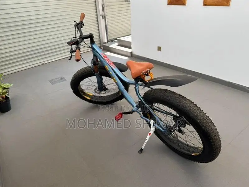 Fat Bicycle