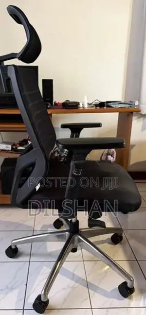 Leema EV 01 Ergonomic High Back Chair