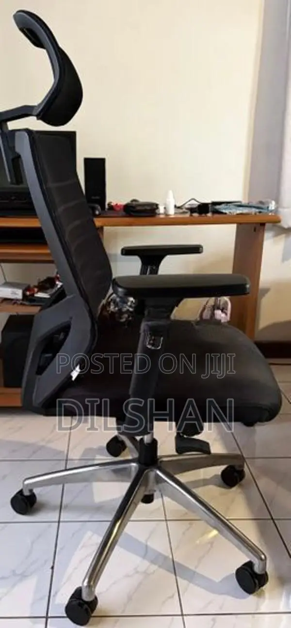 Leema EV 01 Ergonomic High Back Chair