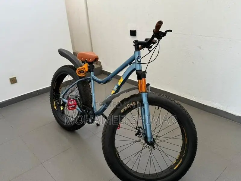 Fat Bicycle