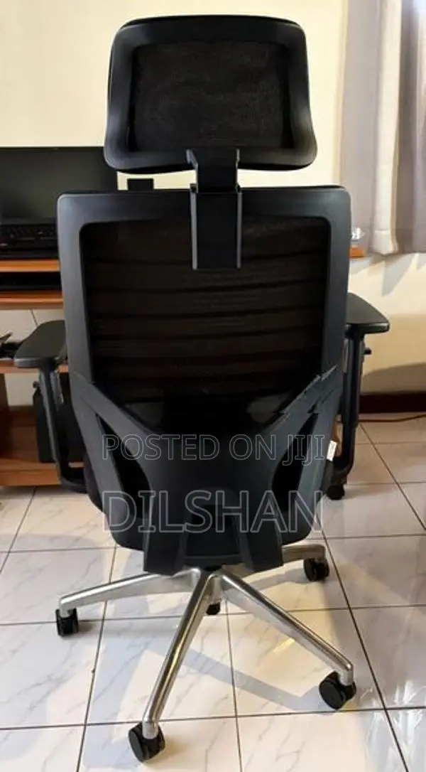 Leema EV 01 Ergonomic High Back Chair