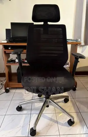 Leema EV 01 Ergonomic High Back Chair