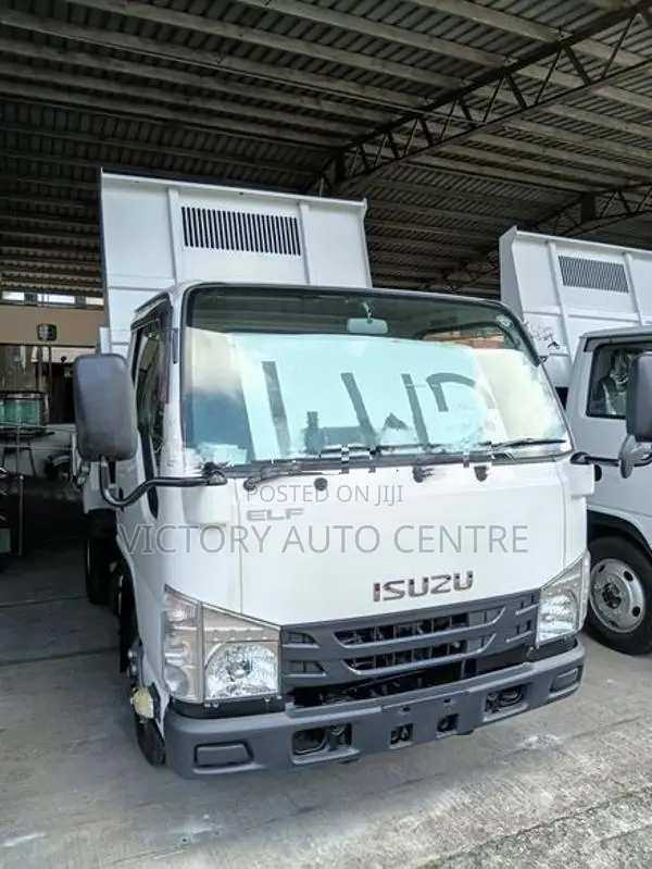 Isuzu Elf Dump truck 2017