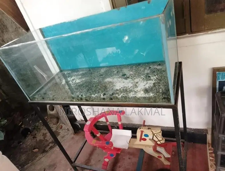 Fish Tank
