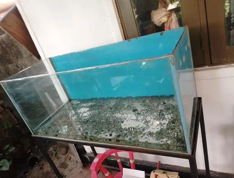 Fish Tank