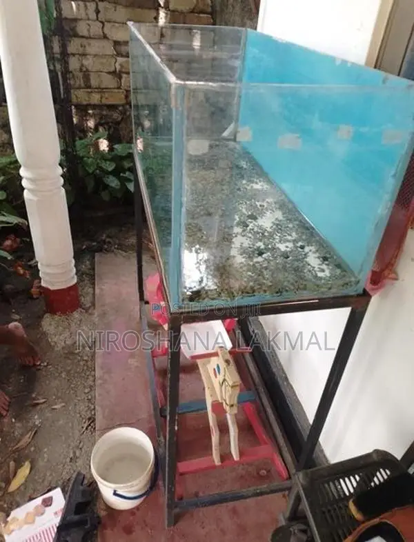 Fish Tank