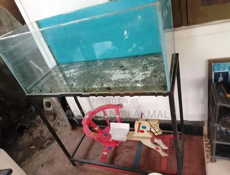Fish Tank