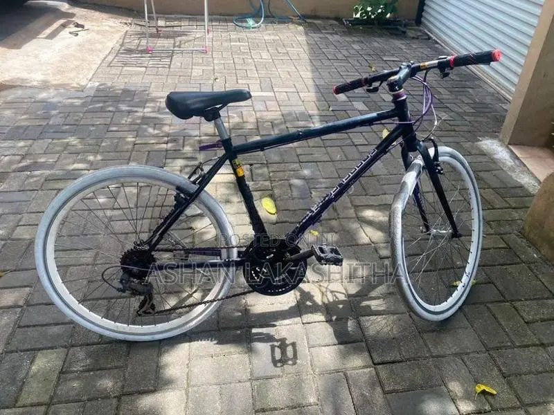 Bicycle Japan