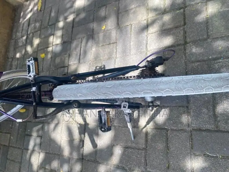 Bicycle Japan
