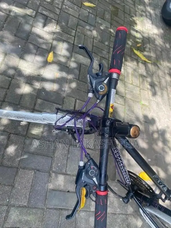 Bicycle Japan