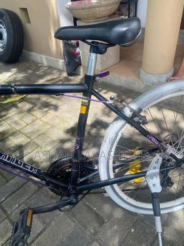 Bicycle Japan