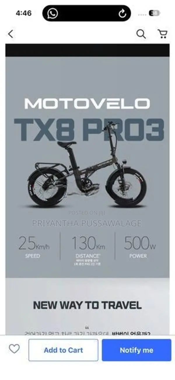 Electric Bike