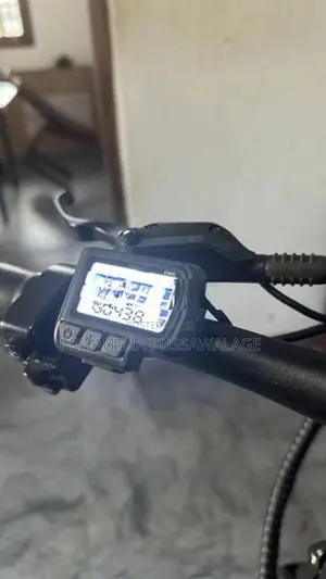 Electric Bike