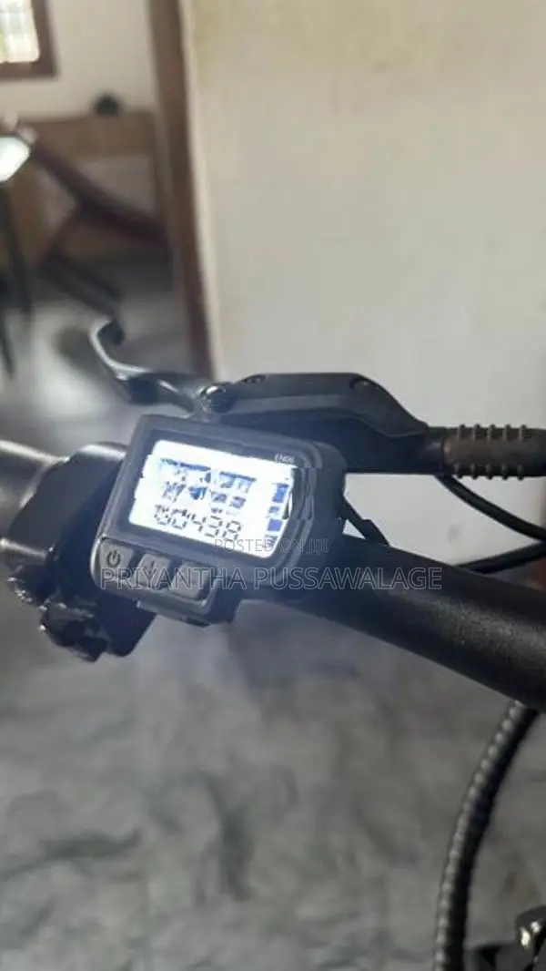 Electric Bike