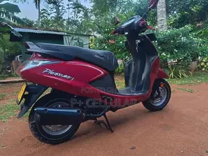 Hero Pleasure 2015