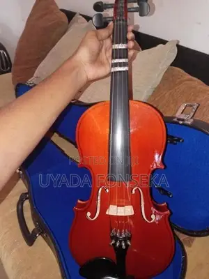 Violin