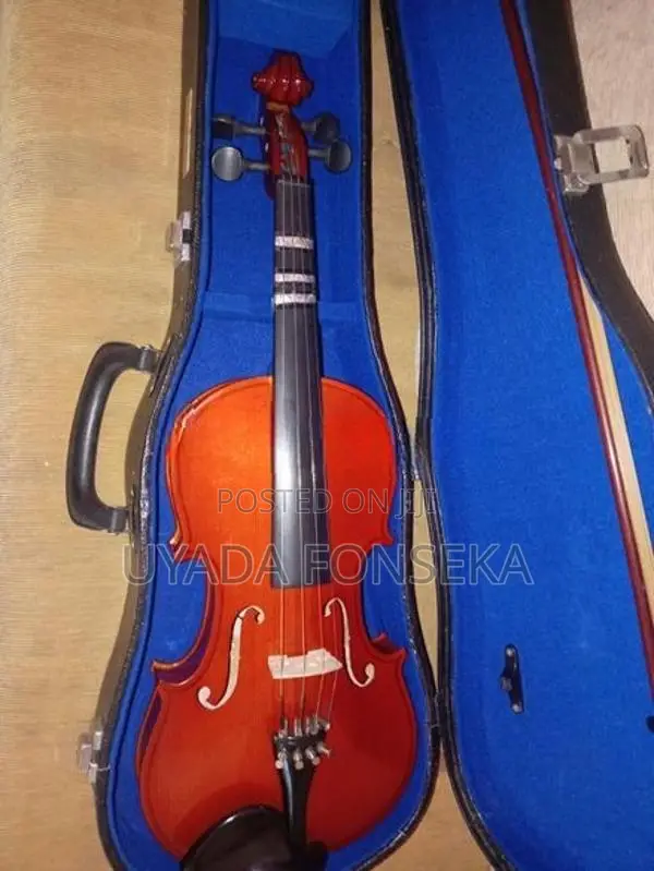 Violin