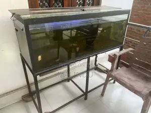Fish Tank