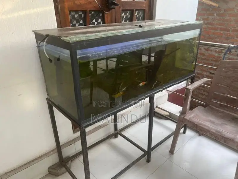Fish Tank