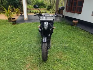 Yamaha FZs V2 2019