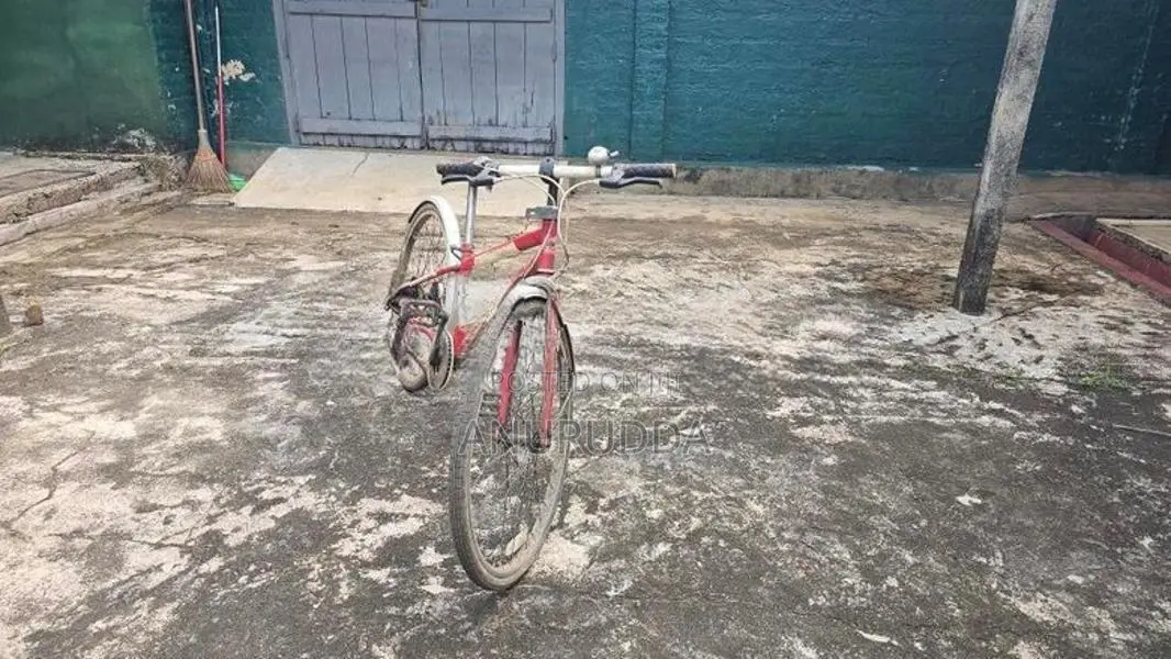 Japanese Cycle