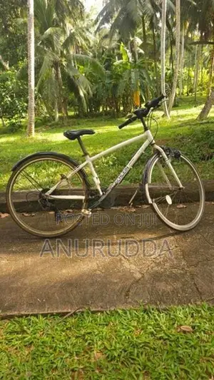 Japanese Cycle